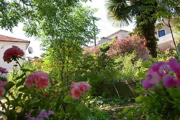 Mravak Apartments Trogir
